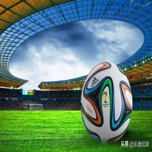 全国游泳冠军赛全面展开群星闪耀